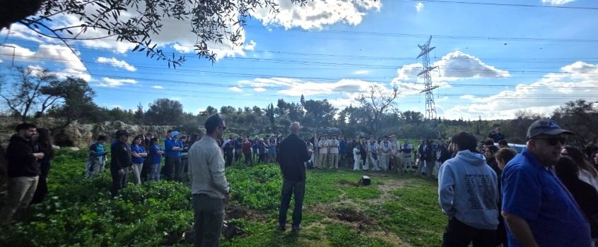 נטיעות בתל חדיד. צילום: מועצת תנועות הנוער