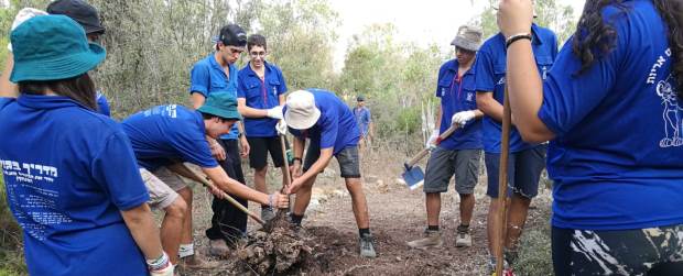 עובדים בשיתוף פעולה ומתגברים על המכשולים. צילום: בני המושבים