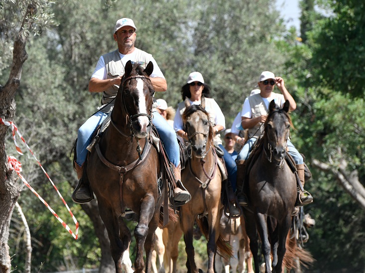 צילום: חורחה נובומינסקי, ארכיון הצילומים של קק"ל