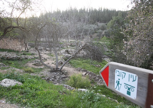 Ein Kobi Foto: Yossi Zamir, archivo fotográfico de KKL-JNF