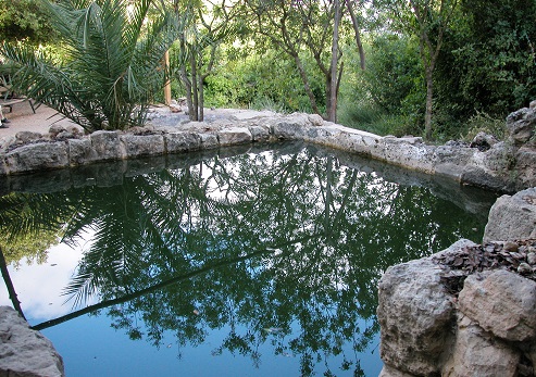 Ein Tamar. Foto: Yaacov Shkolnik, archivo fotográfico de KKL-JNF