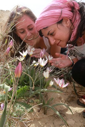The wilderness and desert will be glad...
Photo: Yossi Zamir, KKL-JNF Photo Archive