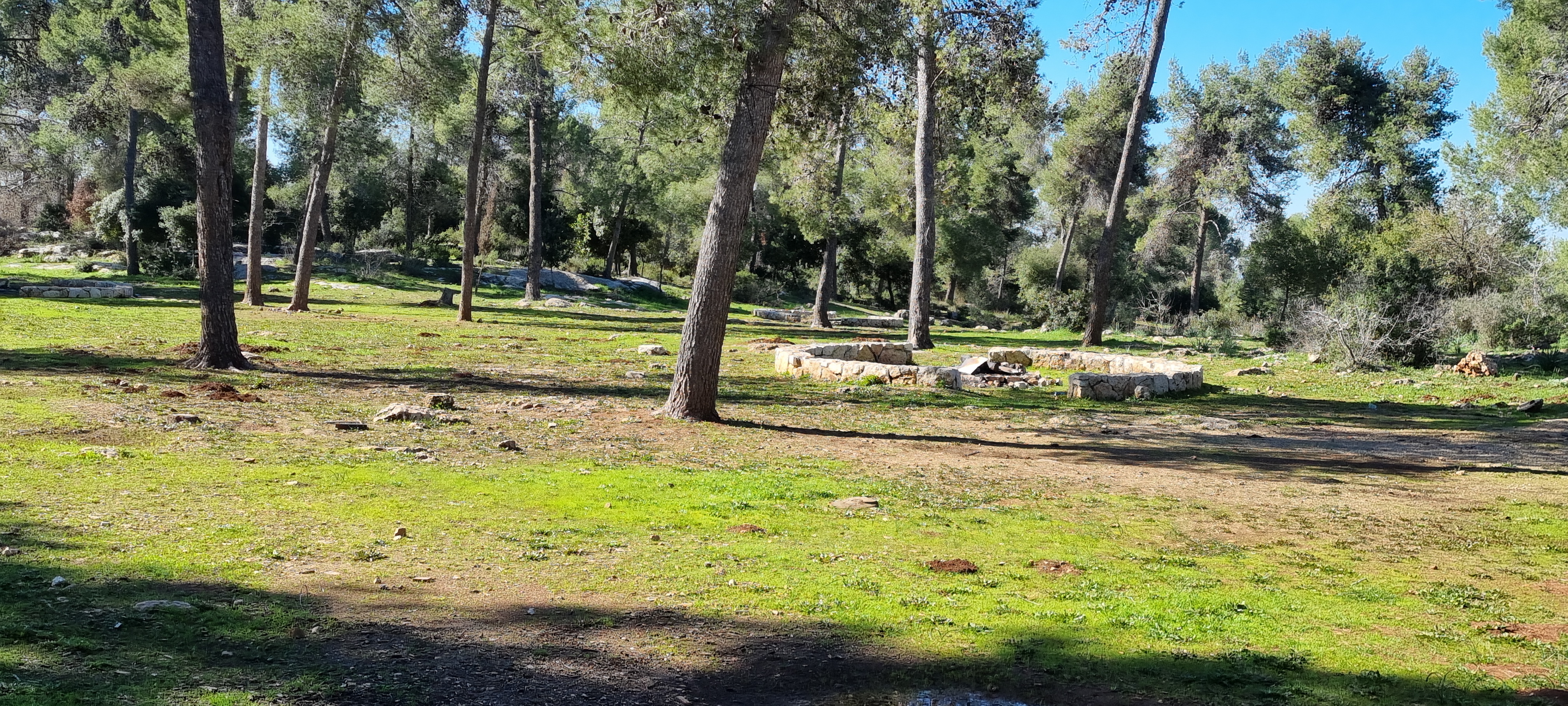 Photograph: Yaakov Shkolnik