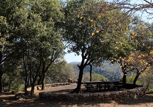 Photograph: Yaakov Shkolnik, KKL-JNF Photo Archive