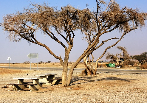 Photograph: Yakov Shkolnik, KKL-JNF Photo Archive