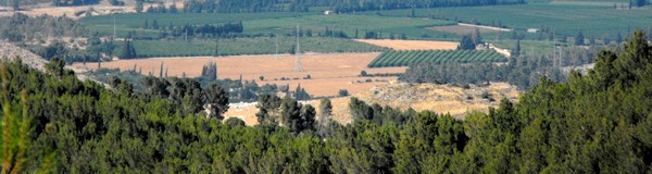 KKL-JNF Sustainability Policy