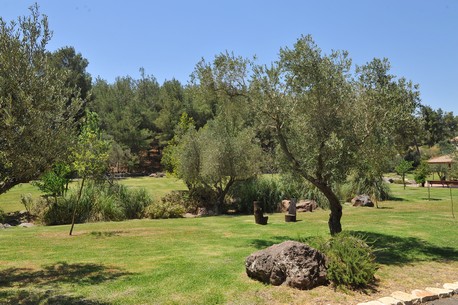 Photo: KKL-JNF Photo Archive