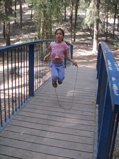 In Ramat Menashe Park. Photo: Yoav Devir