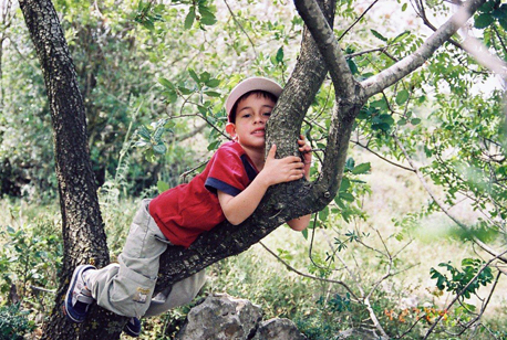 Fotografías: Archivo fotográfico de KKL-JNF
