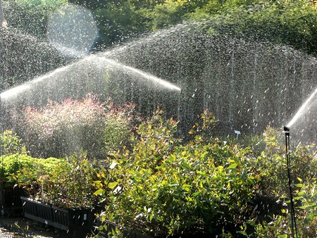 Photograph: Pablo Cherkeski