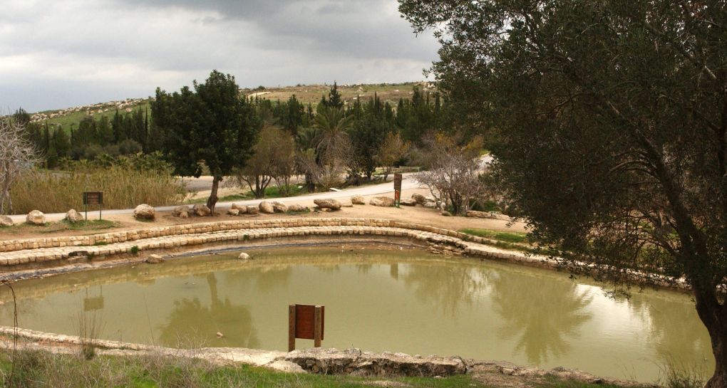 The Palm Spring in Ayalon Park Canada. Photo: JNF Photo Archive