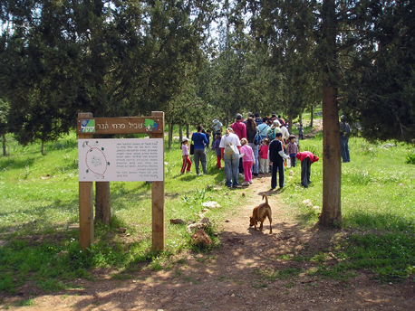 Fotografías: Archivo fotográfico de KKL-JNF
