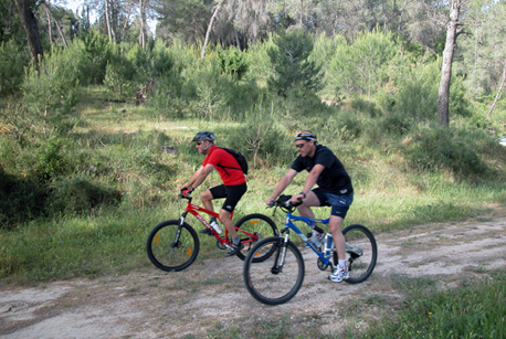 Fotografías: Archivo fotográfico de KKL-JNF
