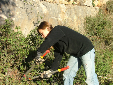 Una voluntaria durante la poda. Foto: Guidi Bashan