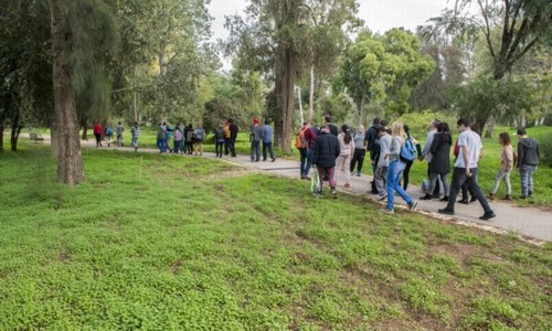 מבקרים עם מוגבלויות מטיילים על שביל נגיש ביער אילנות ביום האירוע.  צילום: דניס צין