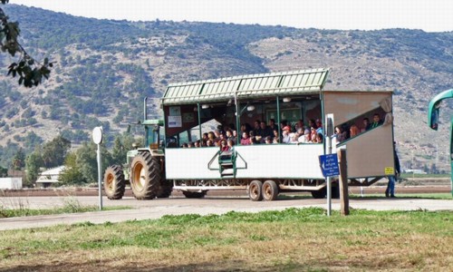 הסיור בפארק בעגלת המסתור.  צילום: לילך וייס