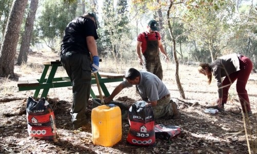 היערנים המתנדבים מצ'כיה מבצעים עבודות שדרוג חניון ביער מסריק.  צילום: לילך וייס