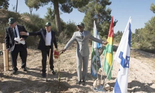 שר החוץ של טוגו ליד העץ שנטע ביד קנדי עם מארחיו מקק"ל.  צילום: דניס צין