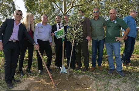 משתתפי האירוע נוטעים עץ.  צילום: מיכאל חורי, ארכיון הצילומים של קק"ל