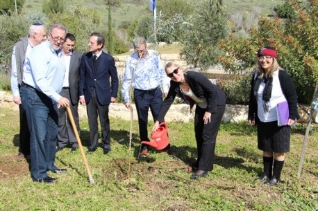 נטיעת עצי הזית לזכר השרה בריק. צילום: יואב דביר