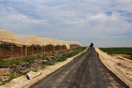 דרך חשופה לפני נטיעת העצים לאורכה. צילום: ארכיון הצילומים של קק"ל