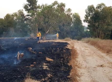 צוות כיבוי של קק"ל נלחם בשריפה ביער שוקדה. צילום: יערן אזור הנגב המערבי משה ברוכי