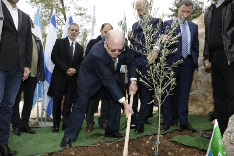 סגן יו"ר קק"ל ארנן פלמן בעת נטיעת העץ. צילום: חיים ורסנו, ארכיון הצילומים של קק"ל