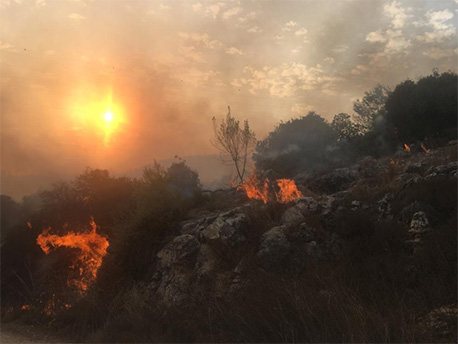 השריפה ביער מורדות נצרת.  צילום: גיל עצמון, קק"ל