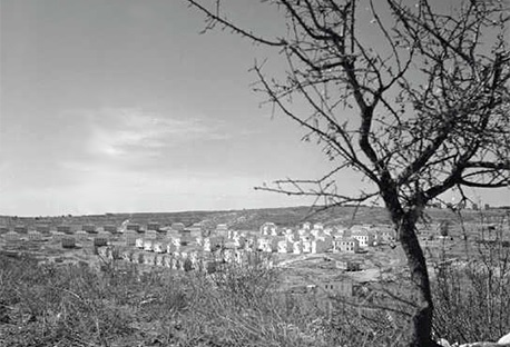 שכונת קריית יובל בירושלים בעת בנייתה ב-1951.  צילום: ורנר בראון, ארכיון הצילומים של קק"ל