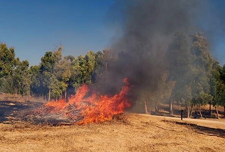 שריפה ביער שוקדה.  צילום: איציק לוגסי, קק"ל