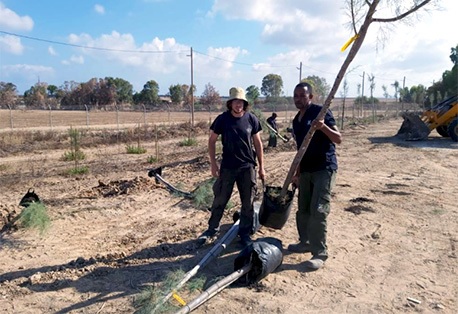 יערני קק"ל במהלך הנטיעות הביטחוניות. צילום: איציק לוגסי, קק"ל