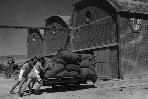 1945. בית חרושת לשימורים וריבות "אשד" באשדות-יעקב. צילום: יעקב רוזנר, ארכיון הצילומים של קק"ל