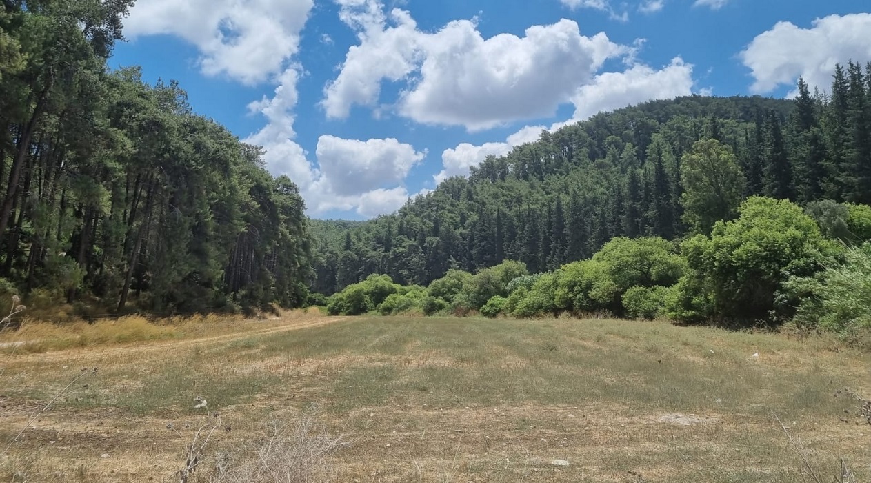 פארק רמות מנשה. צילום: חיים סהר, קק"ל