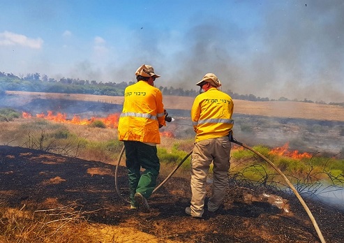 צילום: עובדי קקל