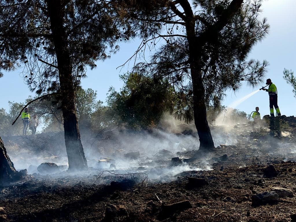צילום: עובדי ויערני קק״ל