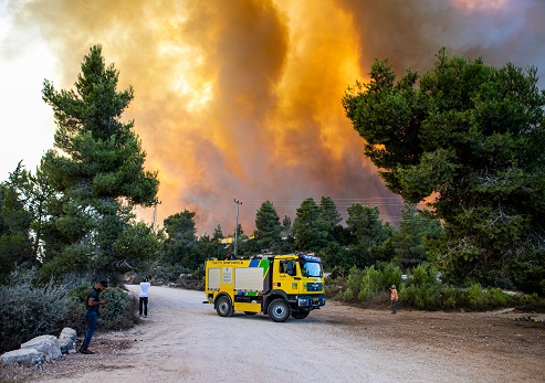 עונת השריפות בפתח: פותחים את הקיץ באחריות ושומרים על היערות והשטחים הפתוחים