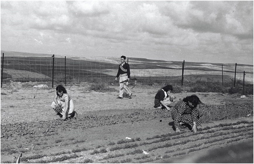 איש בארי מבשר על העלייה על הקרקע, אוקטובר 1946. צילום: שטרנברג, ארכיון הצילומים של קק"ל