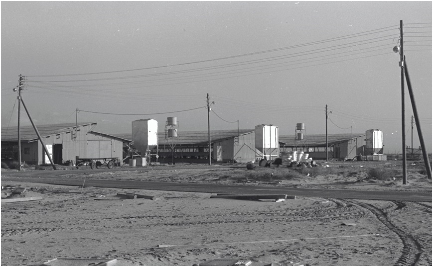 כרם שלום, 1970. צילום: פרקש, ארכיון הצילומים של קק"ל