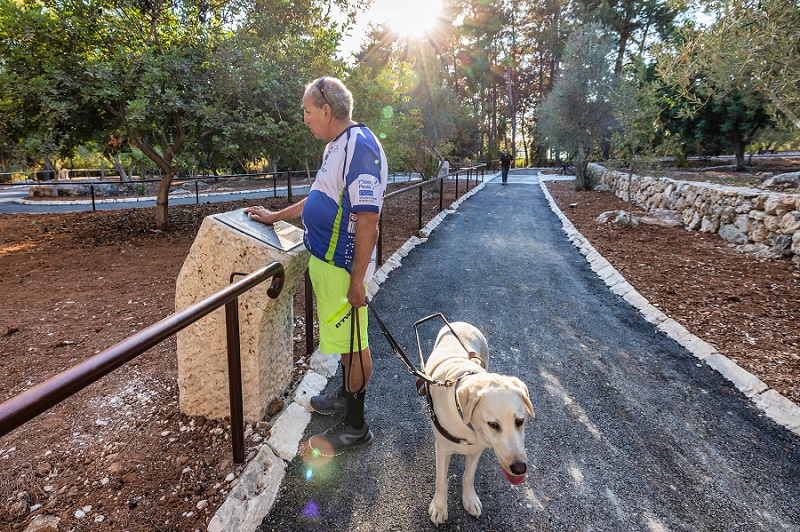 חניון העיוורים ביער בן שמן. צילום: בוני שיינמן, קק"ל