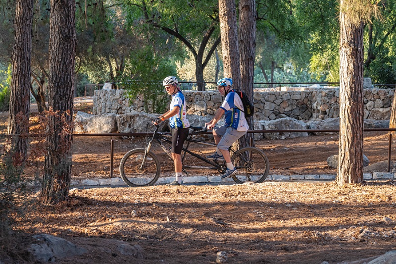צילום: בוני שיינמן, קק"ל
