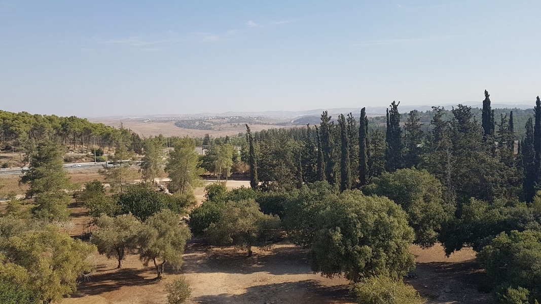 צילום: בלה נודלמן, ארכיון הצילומים של קק"ל