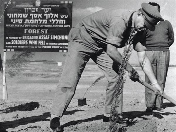 הרמטכל חיים לסקוב נוטע בטקס חנוכת יער ע"ש אסף שמחוני ב- 1960. תמונה: צלמי קק"ל