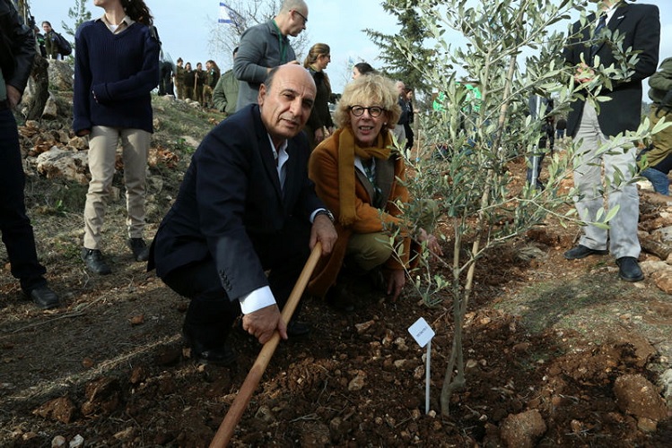 הרמטכ"ל לשעבר שאול מופז נוטע עץ בחורשת מטכ"ל. תמונה: ששון תירם, ארכיון הצילומים של קק"ל