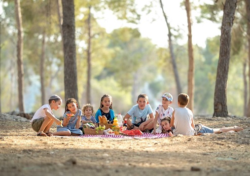 יער המלאכים - שחריה. צילום: אבי בלבן
