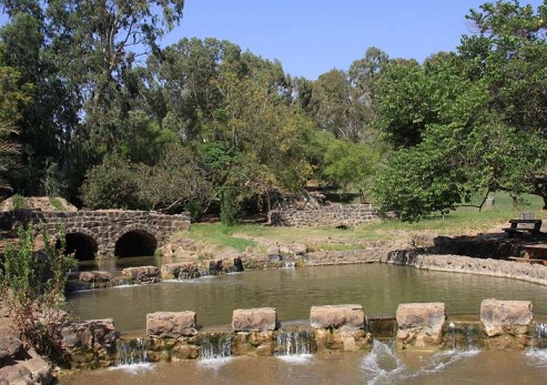 פארק הירדן. צילום: ארכיון הצילומים של קק"ל