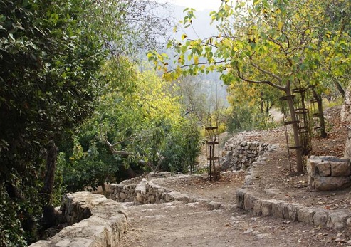 הסטף. צילום: ארכיון הצילומים של קק"ל