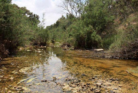 נחל גרר. צילום: ארכיון צילומי קקל
