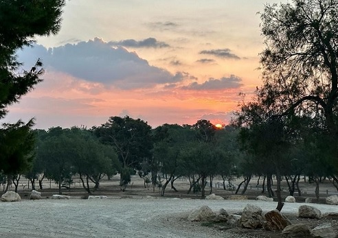 פארק אופקים. צילום: בוני שיינמן, קקל
