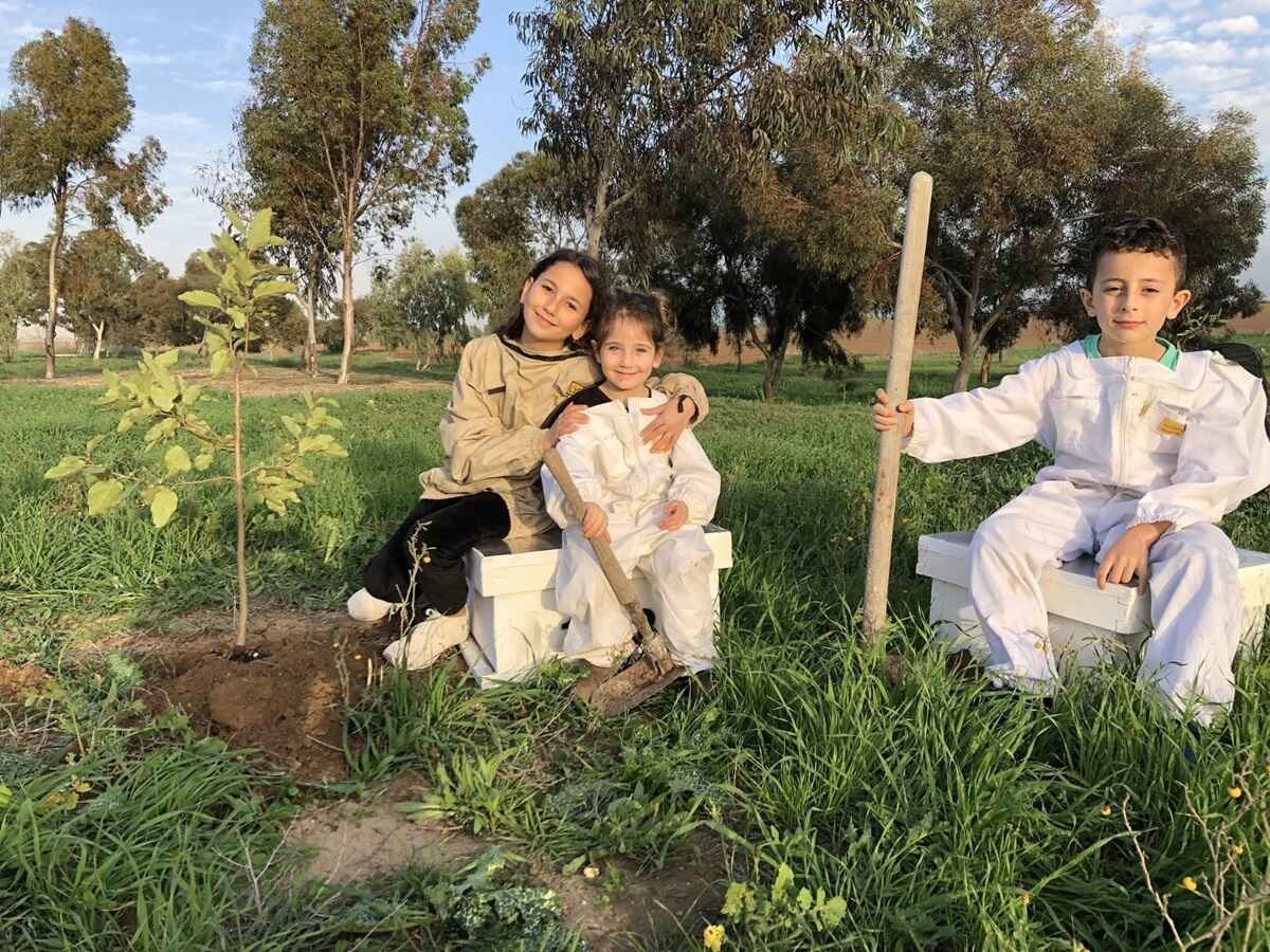 צילום: הדבש של עידו, קלחים