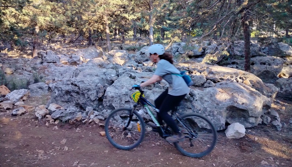 צילום: אריאל חנימוב